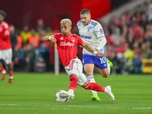 Journalist backs new signing to make an impact